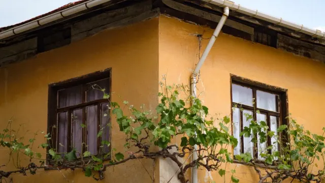 Çatı Tamiri mi, Komple Yenileme mi? Karar Vermeden Önce Bunları Bil